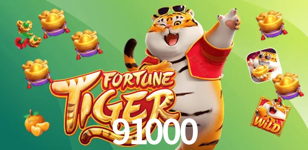 Experiência VIP 91000